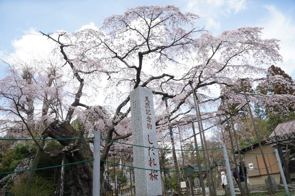 2023年3月21日（火）