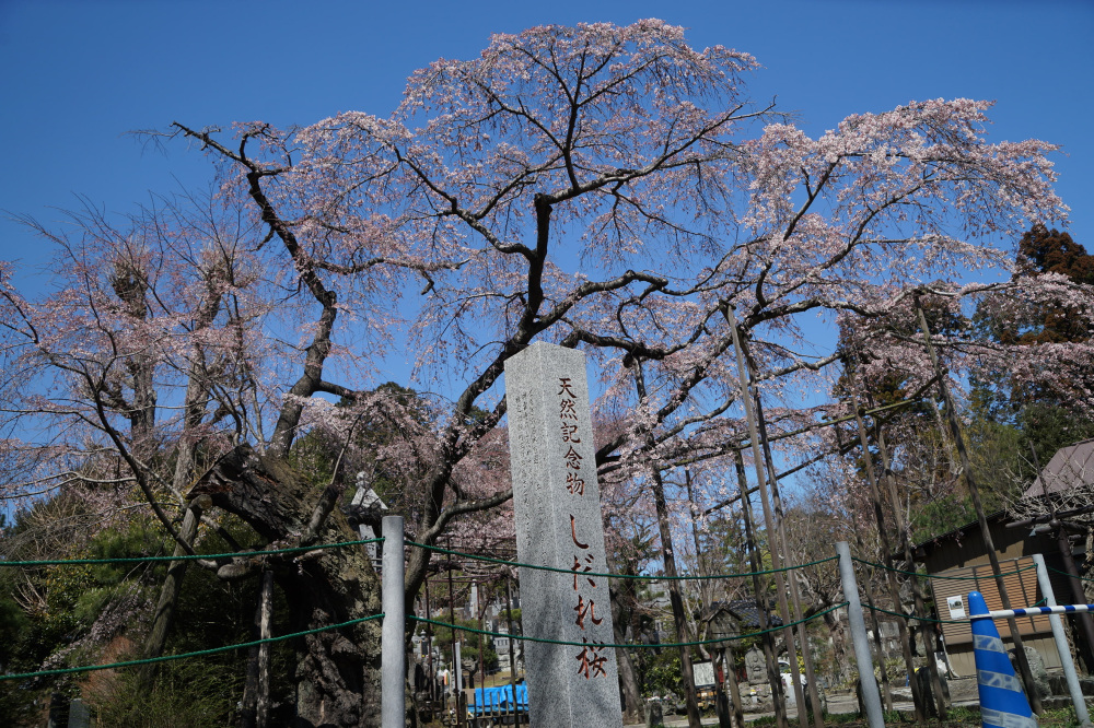2023年3月20日（月）