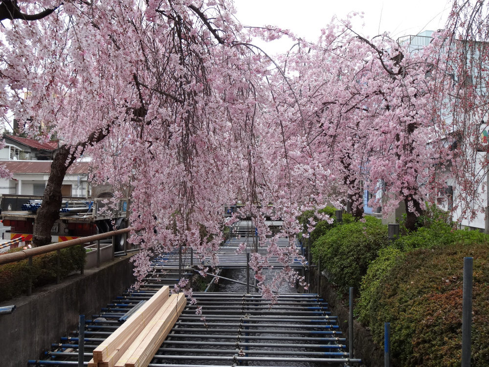 2023年3月23日（木）