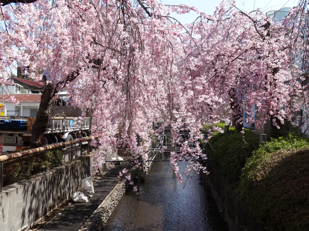 2023年3月22日（水）
