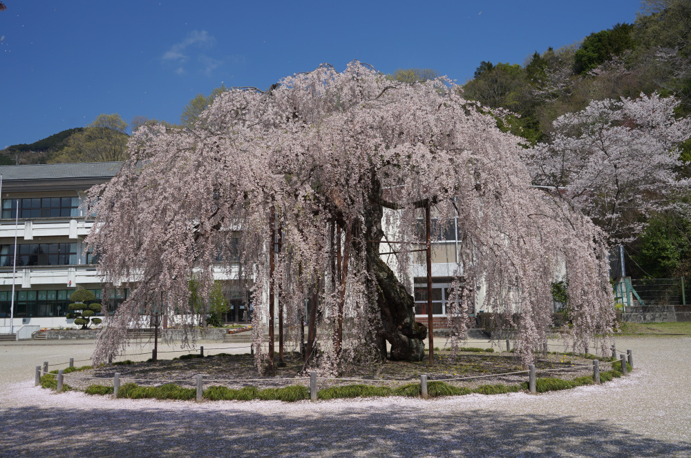 2023年4月3日（月）