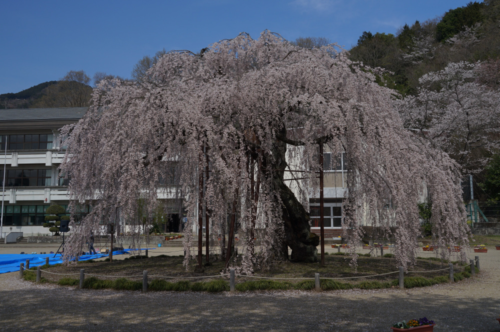 2023年3月31日（金）