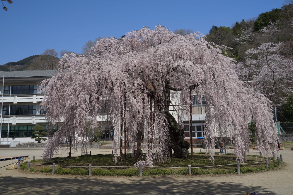 2023年3月29日（水）