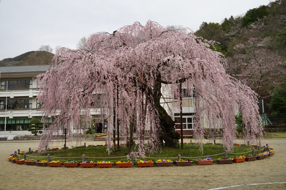 2023年3月24日（金）