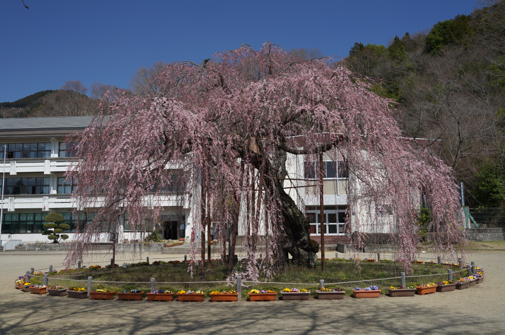 2023年3月22日（水）