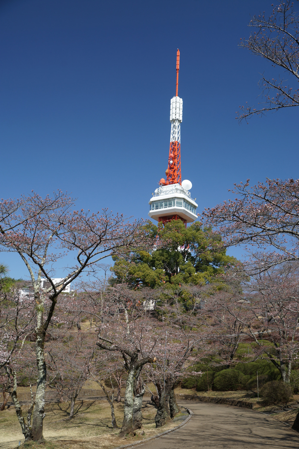 2023年3月22日（水）