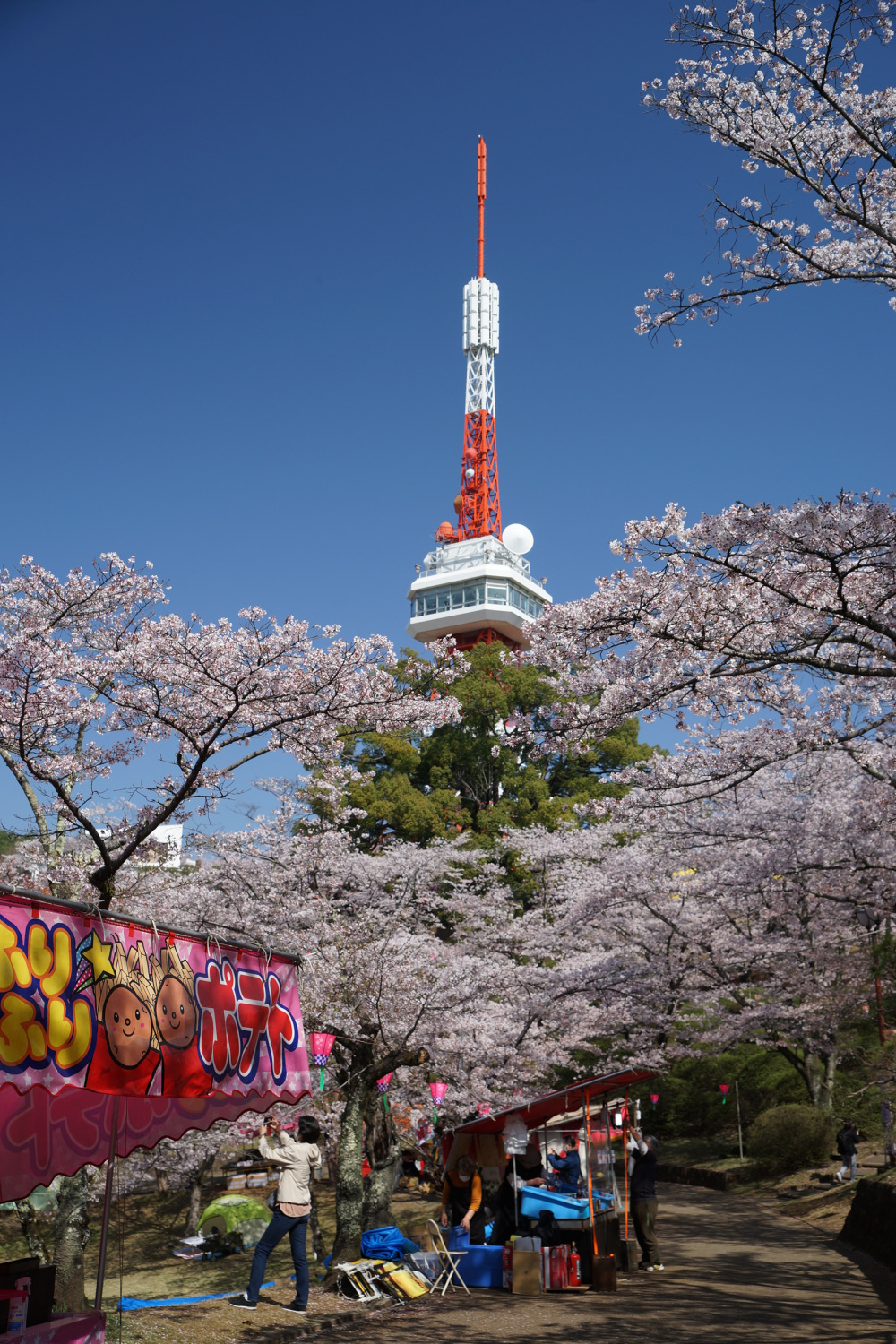 2023年4月1日（土）