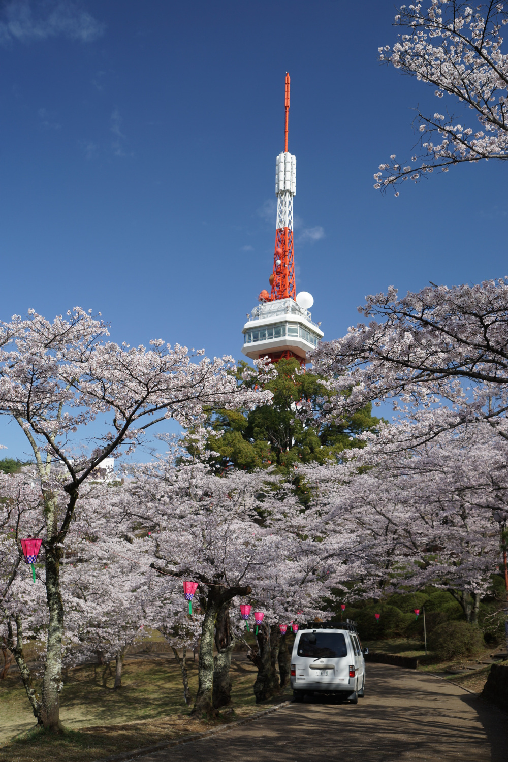 2023年3月29日（水）