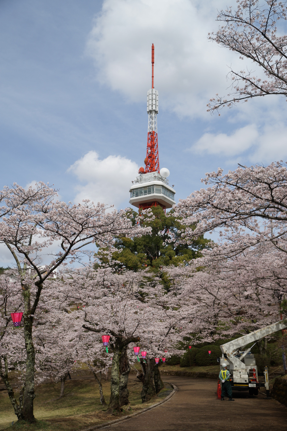 2023年3月27日（月）
