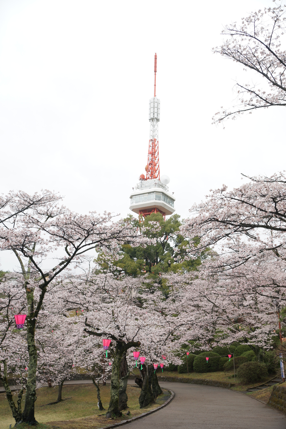 2023年3月25日（土）