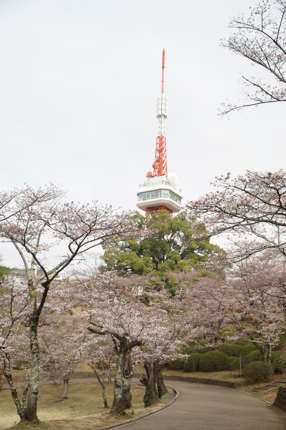2023年3月23日（木）