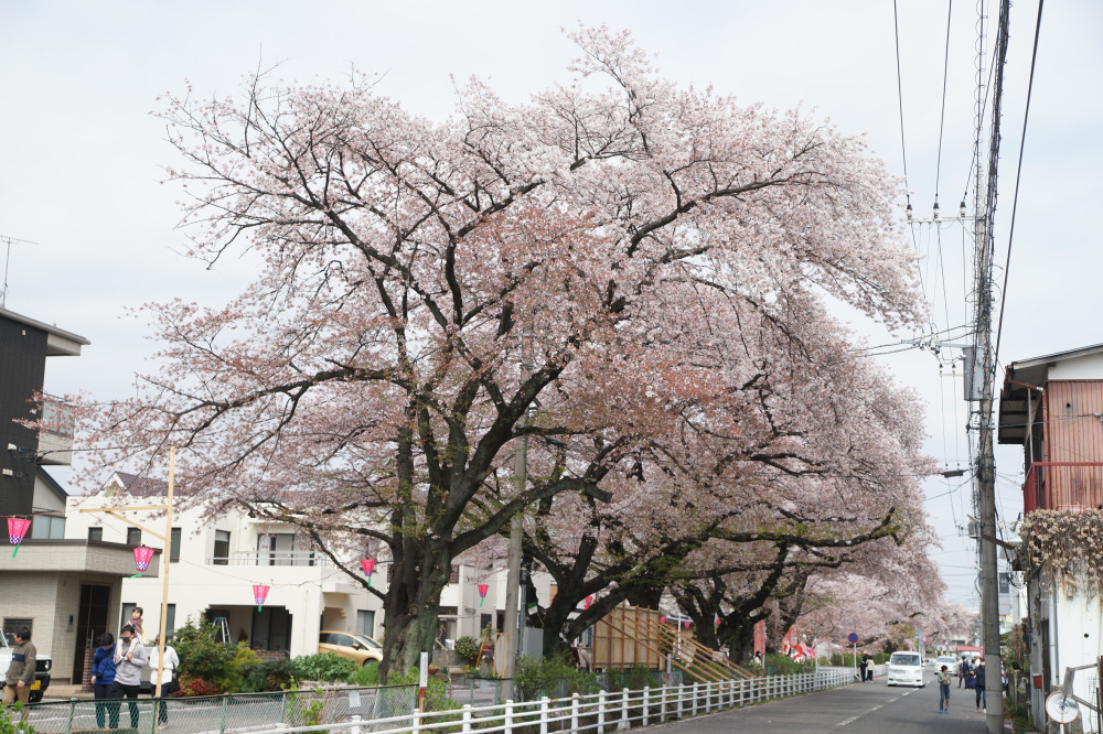 2023年4月2日（日）