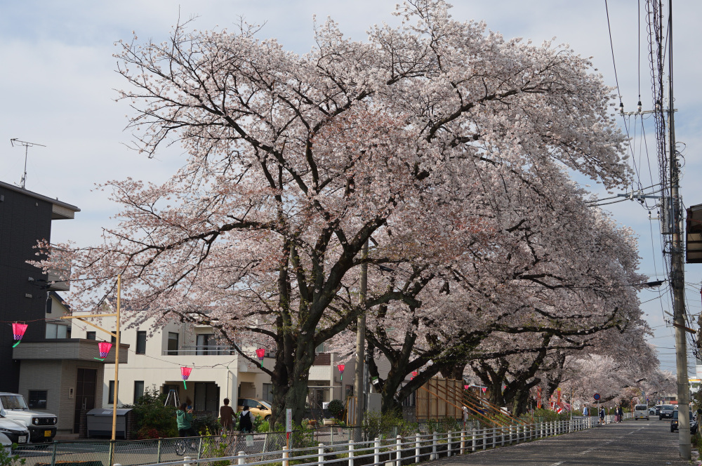 2023年3月31日（金）
