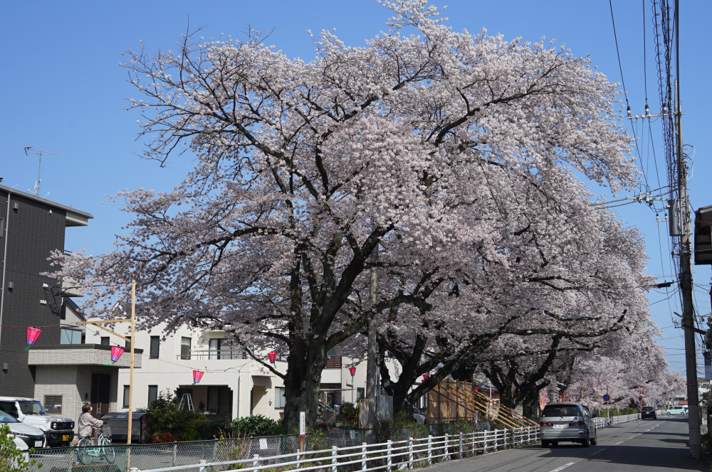 2023年3月29日（水）