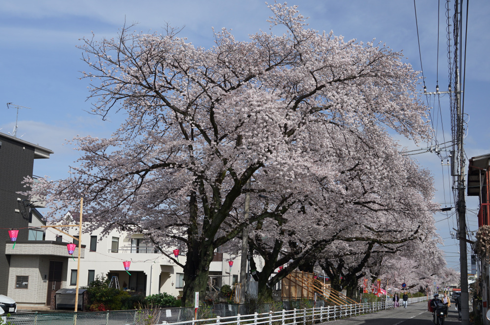 2023年3月27日（月）