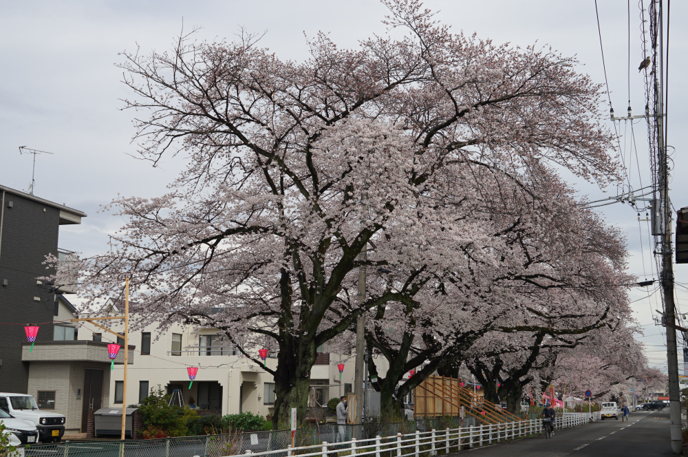 2023年3月24日（金）
