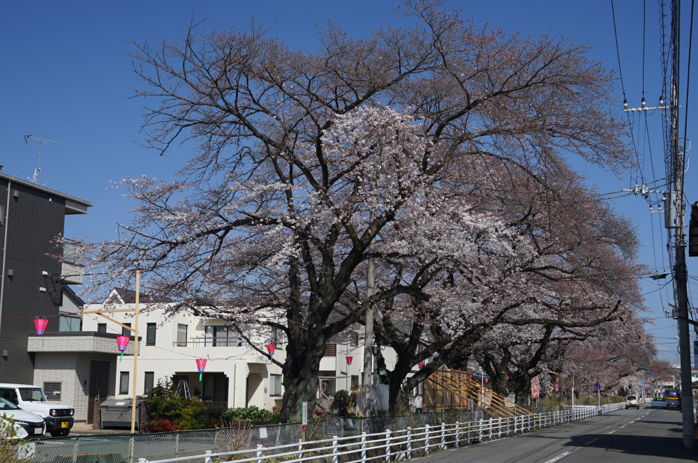 2023年3月22日（水）