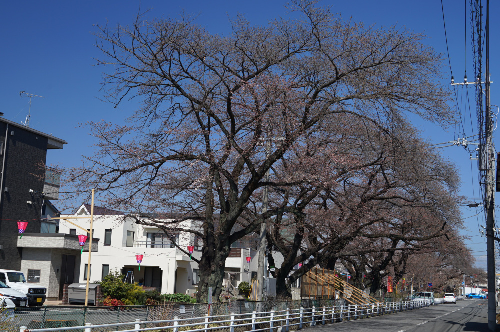 2023年3月20日（月）