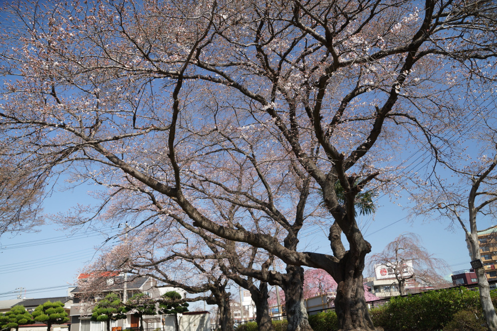 2023年3月22日（水）