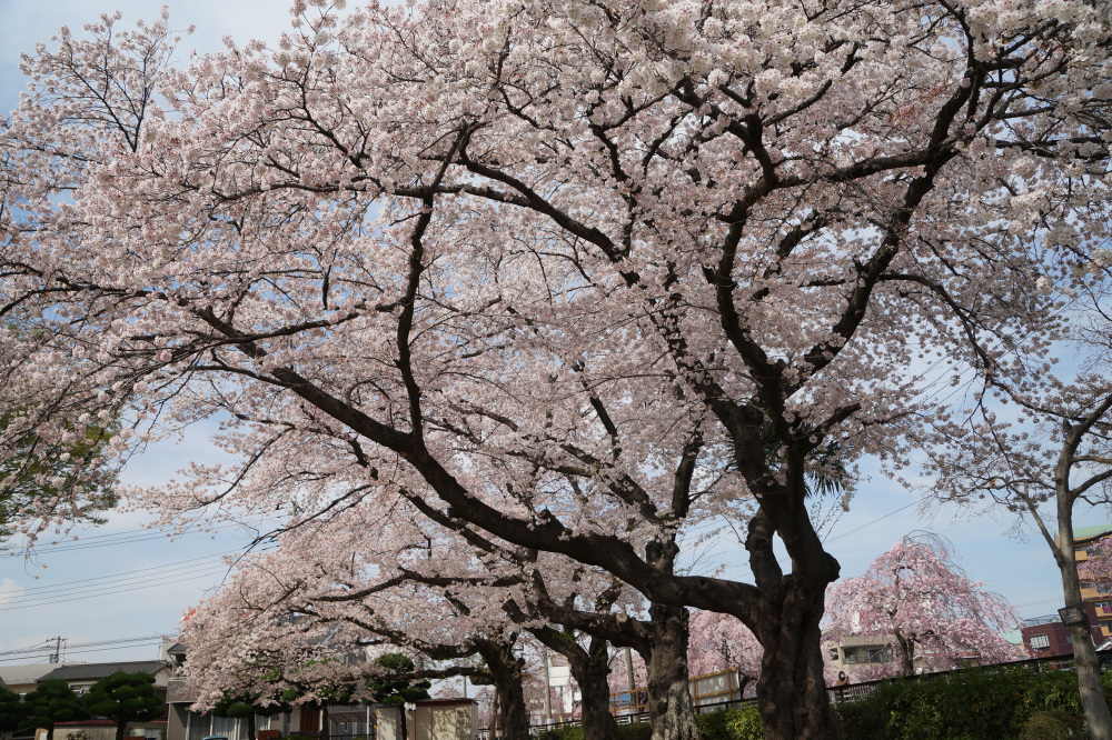 2023年3月31日（金）