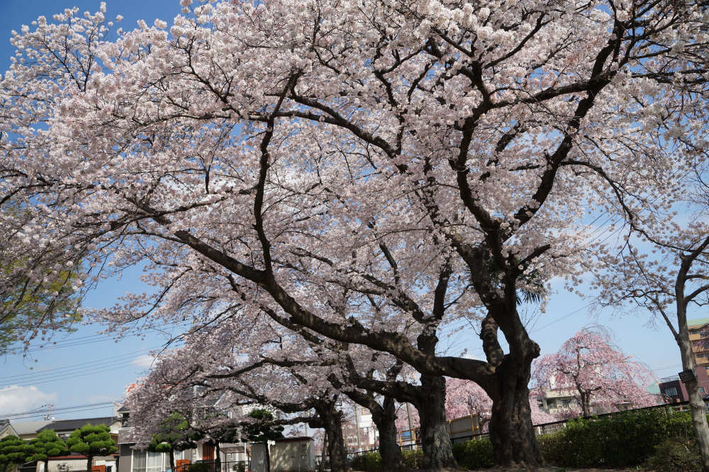 2023年3月30日（木）