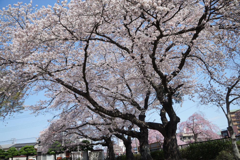 2023年3月29日（水）