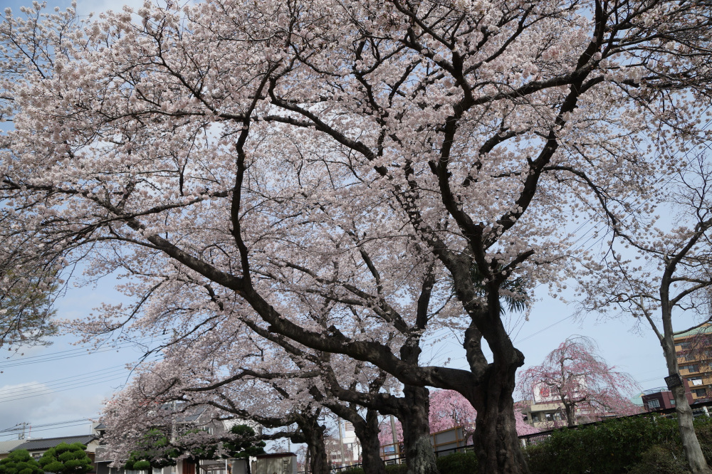 2023年3月27日（月）