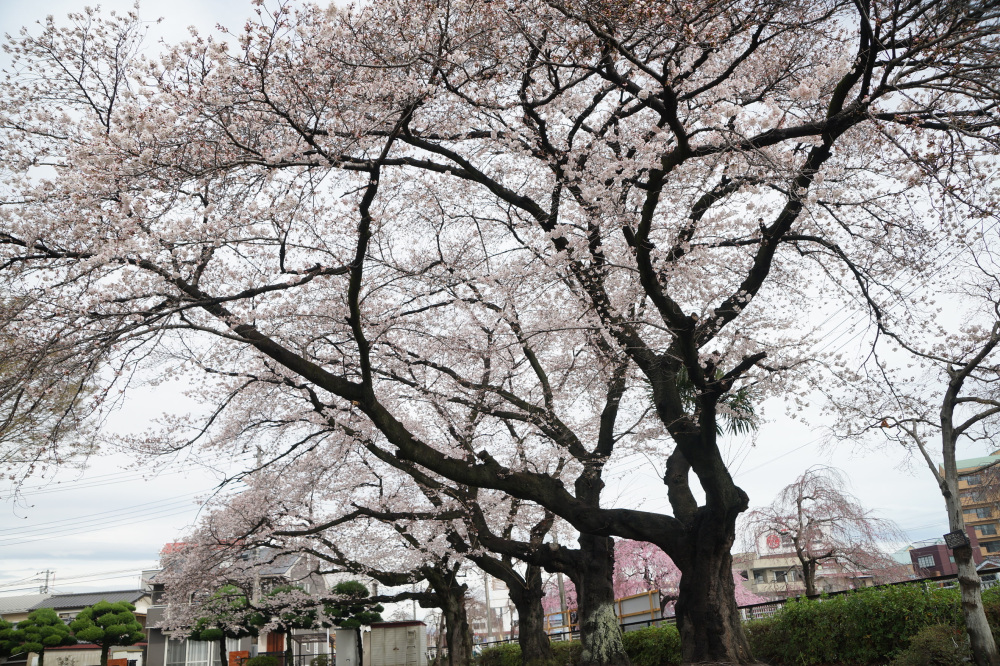 2023年3月24日（金）