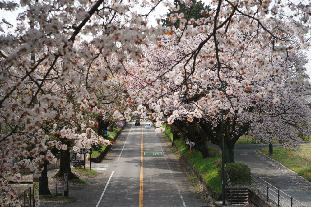 2023年4月5日（水）