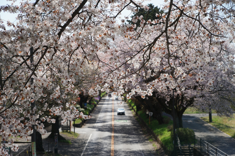 2023年4月4日（火）