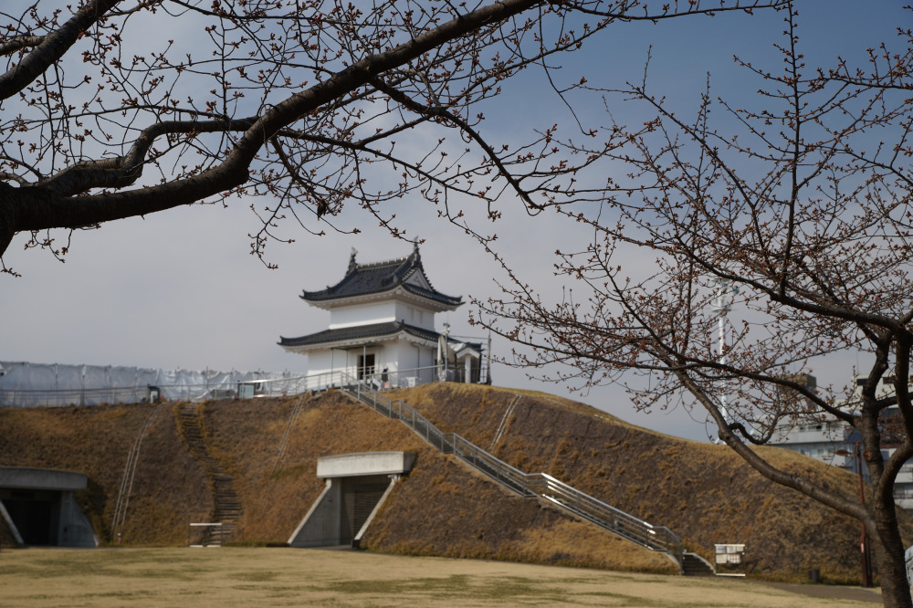 2022年3月11日（金）