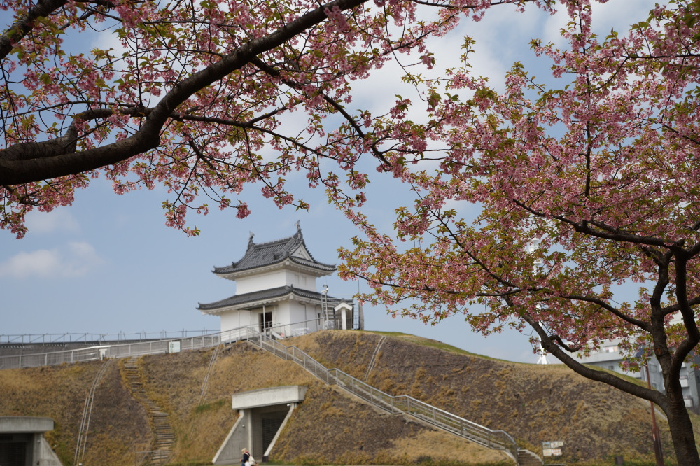 2022年3月30日（水）