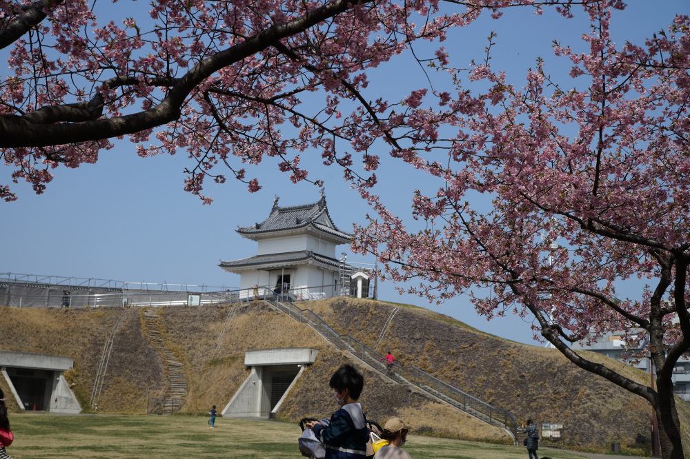 2022年3月25日（金）