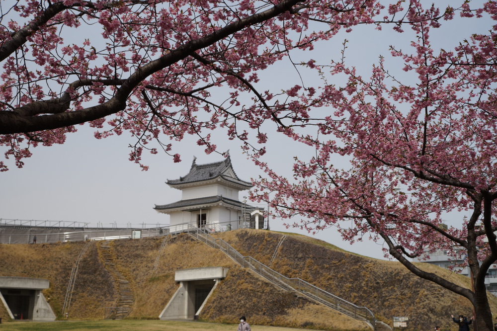 2022年3月23日（水）