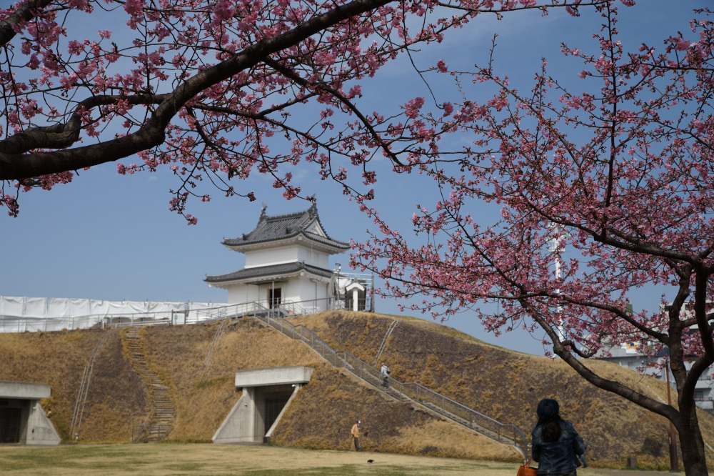 2022年3月17日（木）