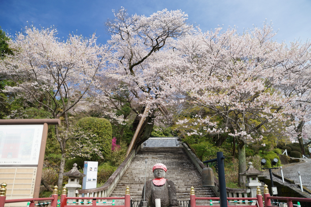 2022年4月5日（火）