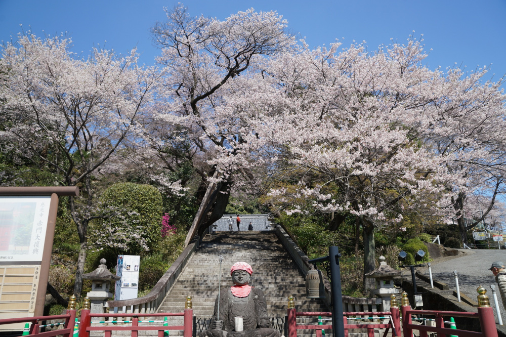 2022年4月2日（土）