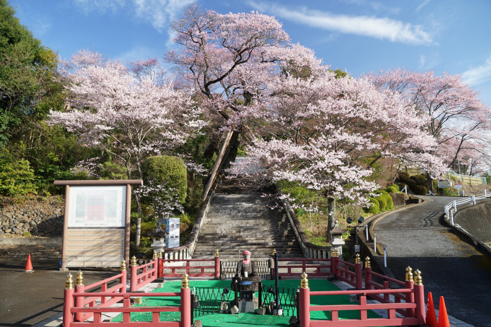 2022年3月28日（月）