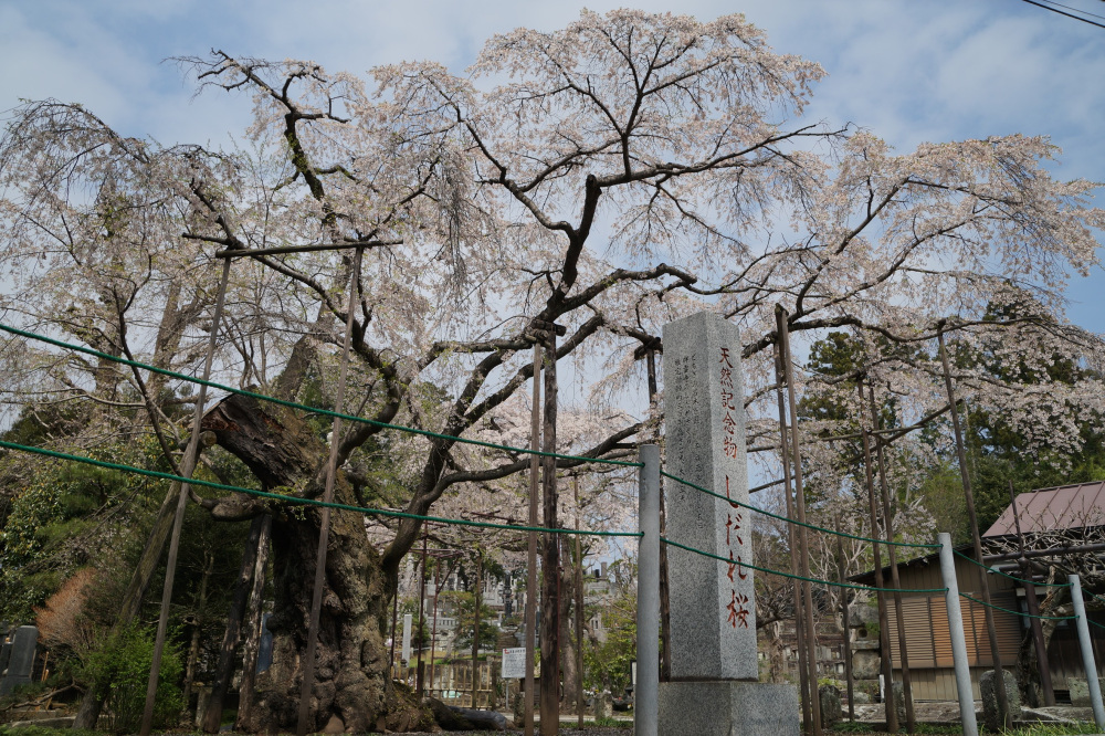 2022年4月7日（木）