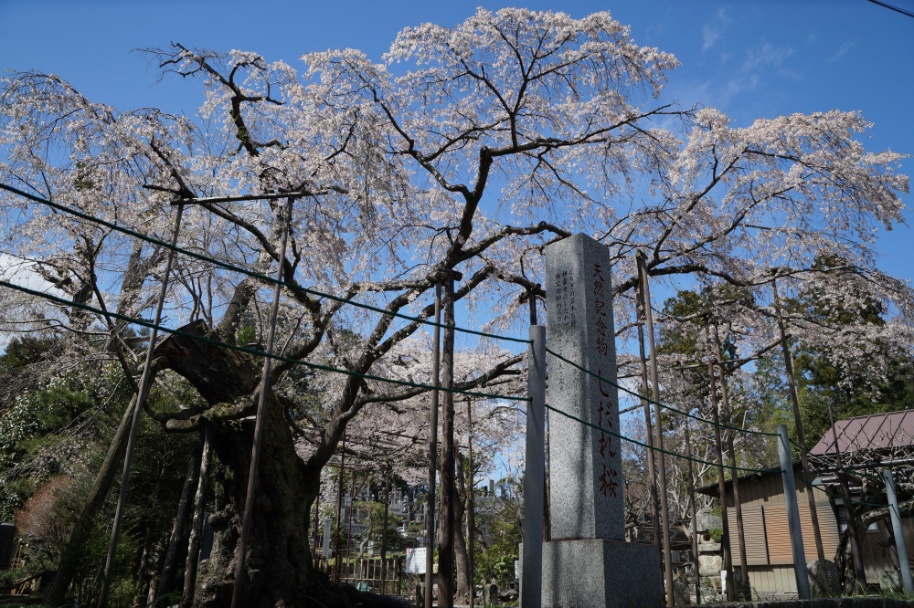 2022年4月5日（火）