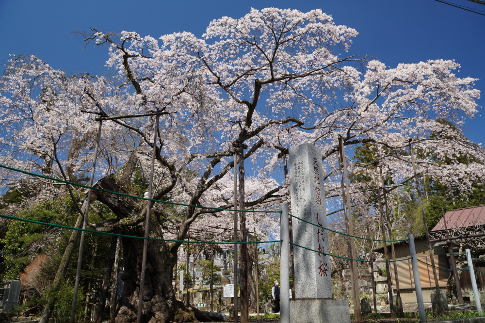 2022年4月2日（土）