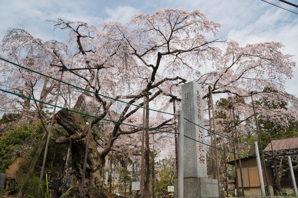 2022年3月31日（木）