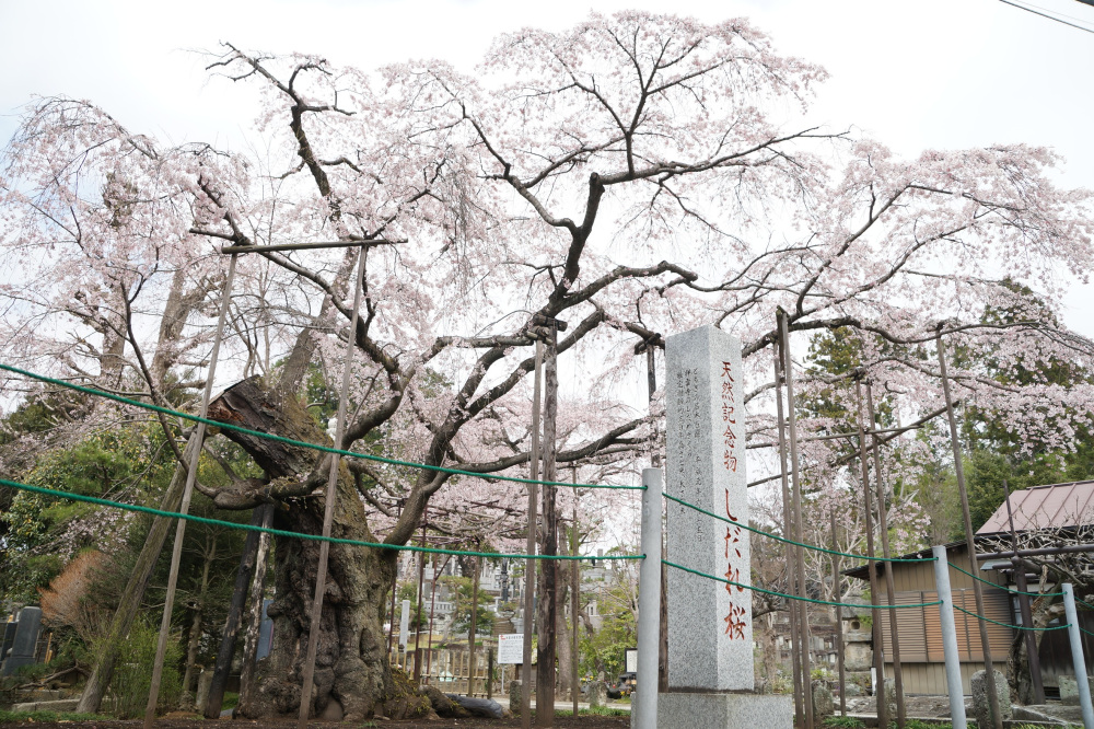 2022年3月30日（水）