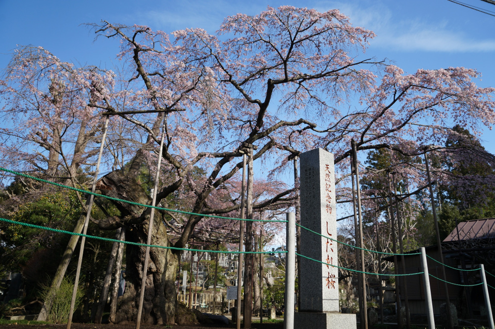 2022年3月28日（月）
