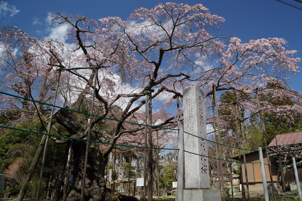 2022年3月27日（日）