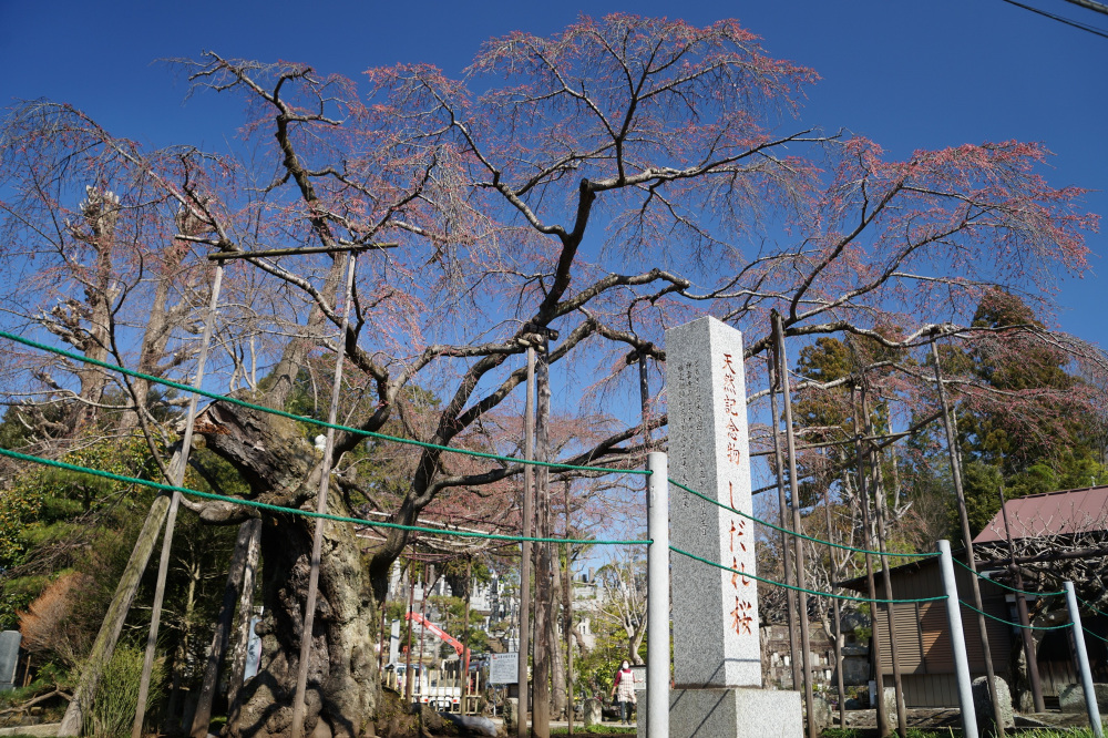2022年3月24日（木）