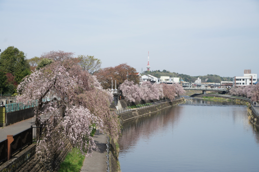 2022年4月13日（水）