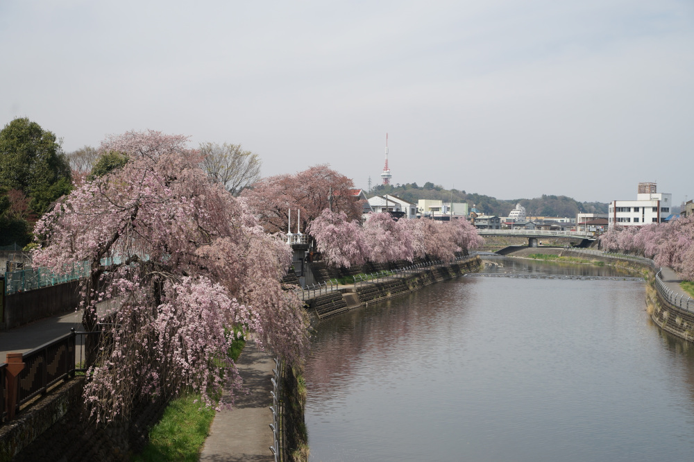 2022年4月11日（月）