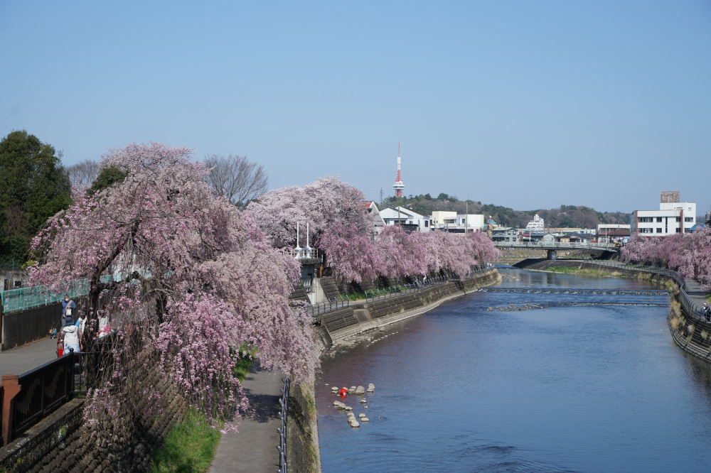 2022年4月9日（土）
