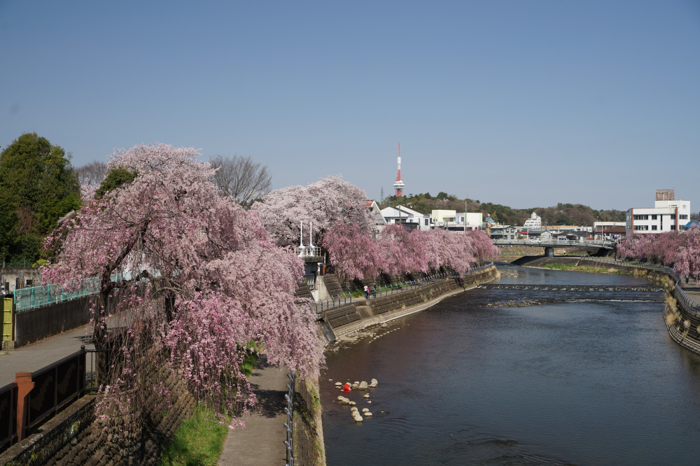 2022年4月8日（金）
